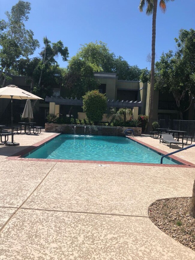 Melrose District 2 Bedroom / 2 Bath Ground... - Melrose District 2 Bedroom / 2 Bath Ground...