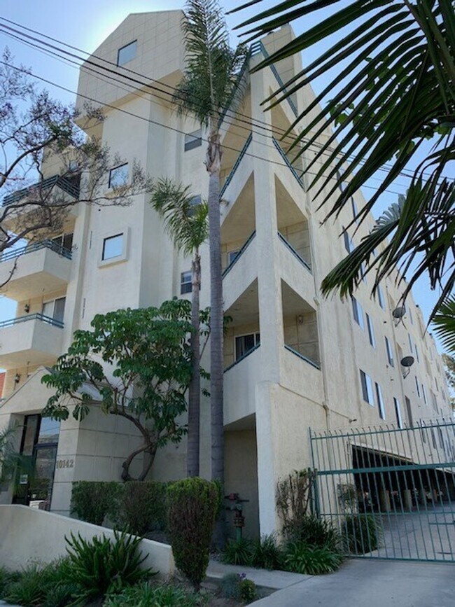 Surfwood Palms