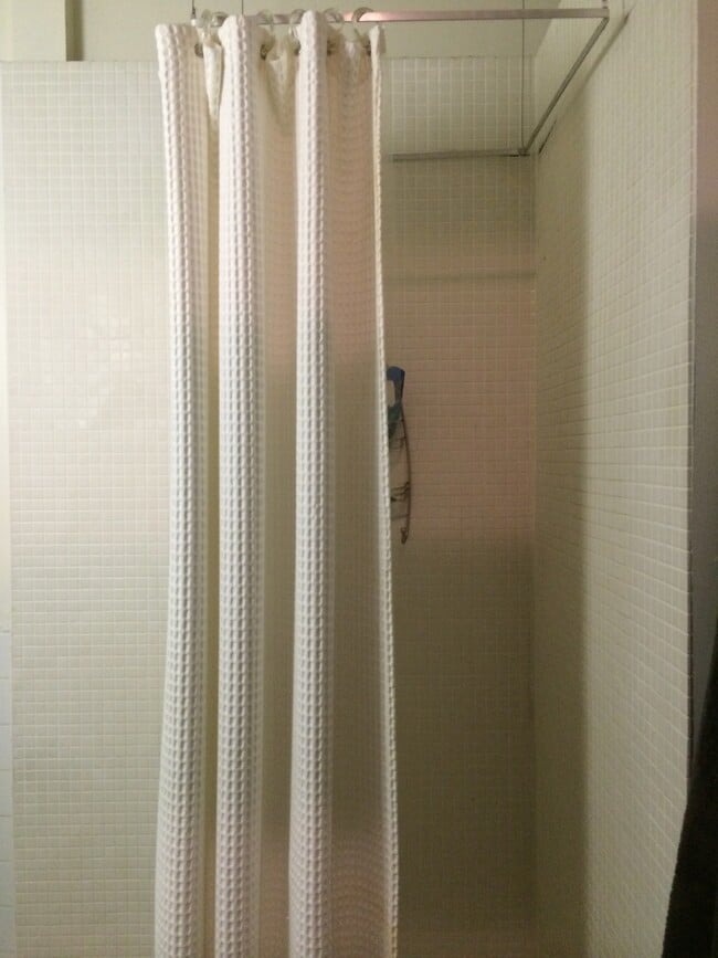 Photo - 905 N Rockwell St Unit 1