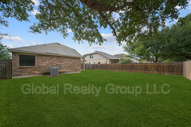 Photo - 3113 Muntjac