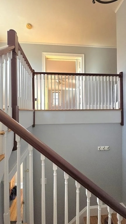 Photo - 9 Kenilworth St