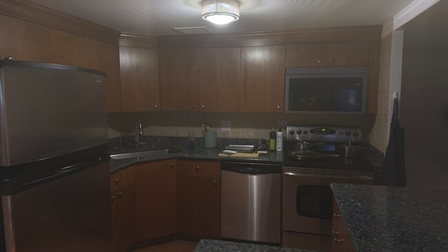 Photo - 175 E Delaware Pl Unit 4522