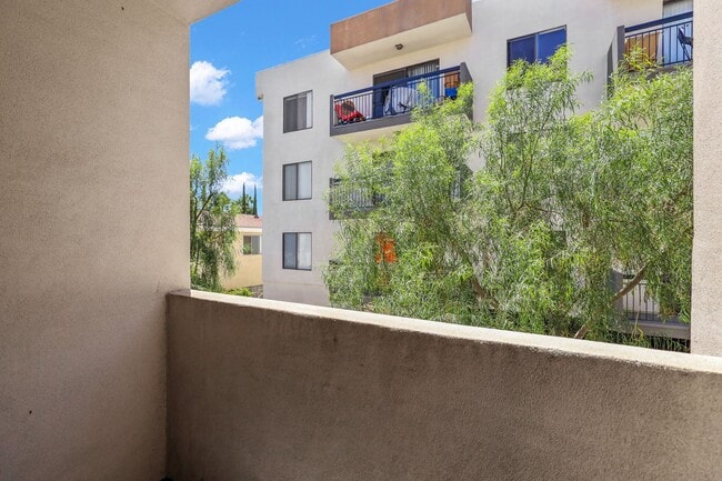 Photo - Hawthorn at Poinsettia by Wiseman