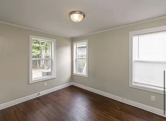 Photo - Check It Out!