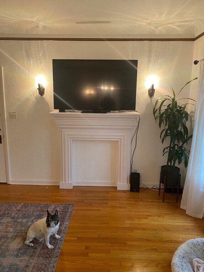 101 Mantle - 415 N Sycamore Ave Unit 101