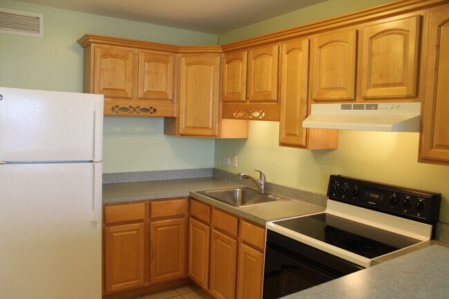Photo - 3930 N Pine Grove Ave Condo Unit 1802