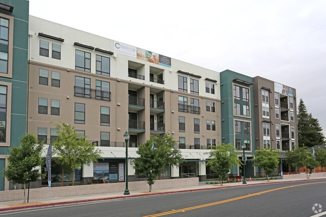 Cadence Apartments