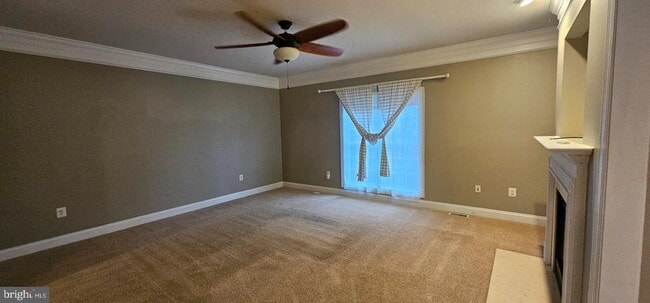 Photo - 123 Van Gogh Terrace