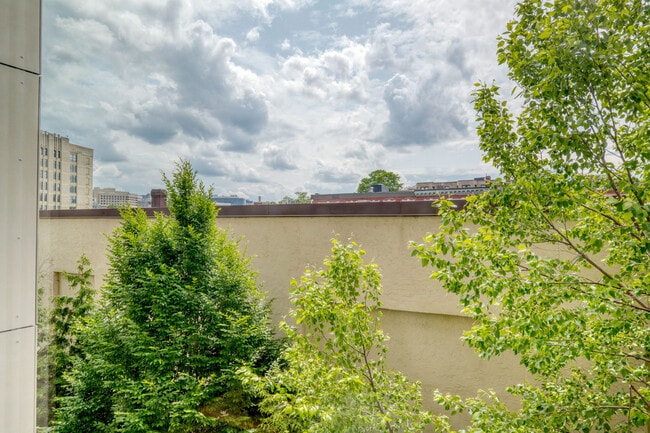 Photo - 9 Miner St Unidad FL1-ID927