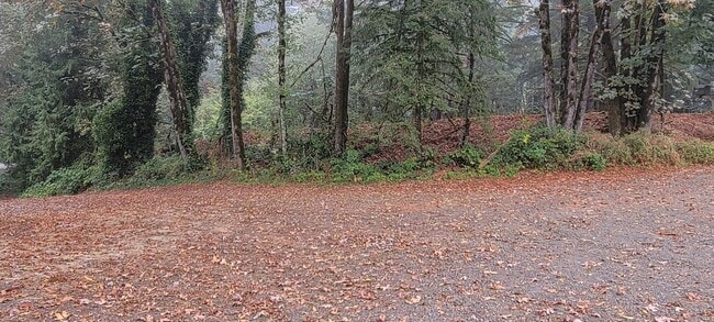 Photo - 17900 NE Hillsboro Hwy