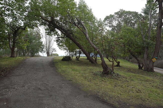 Photo - 2 bed 1 bath in a country setting