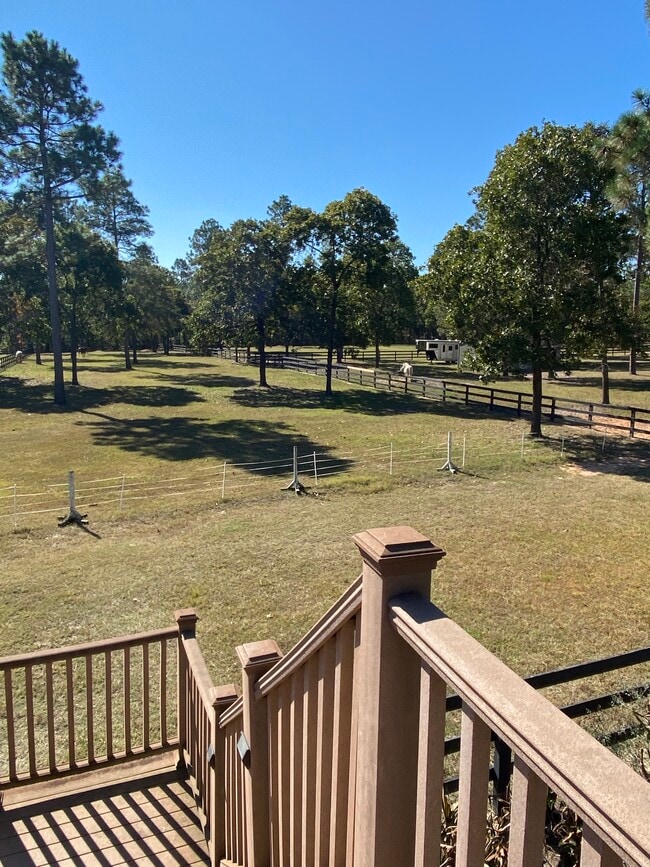 View from deck - 970 Shell Bluff Dr