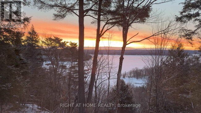 Photo - 13 Tree Tops Ln Unit 202