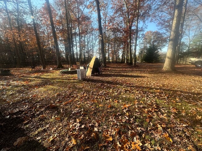 Photo - 4562 Gavin Woods Ct