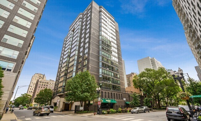 Building Photo - 21 W Goethe St Unit 9C Rental