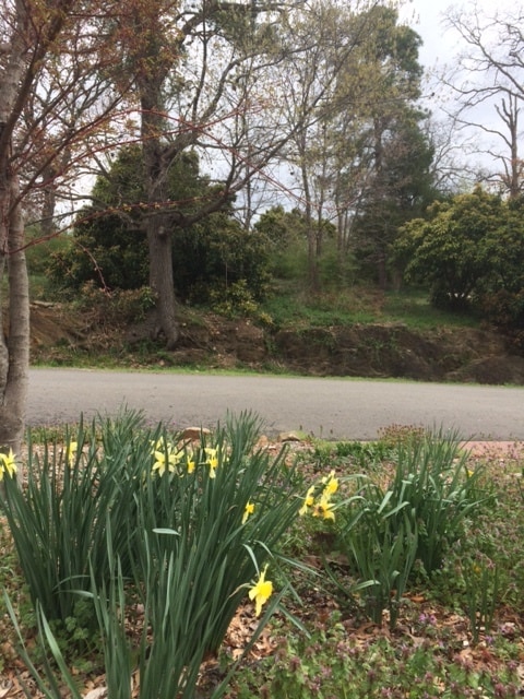 Photo - 1911 W 2nd St Unit 1