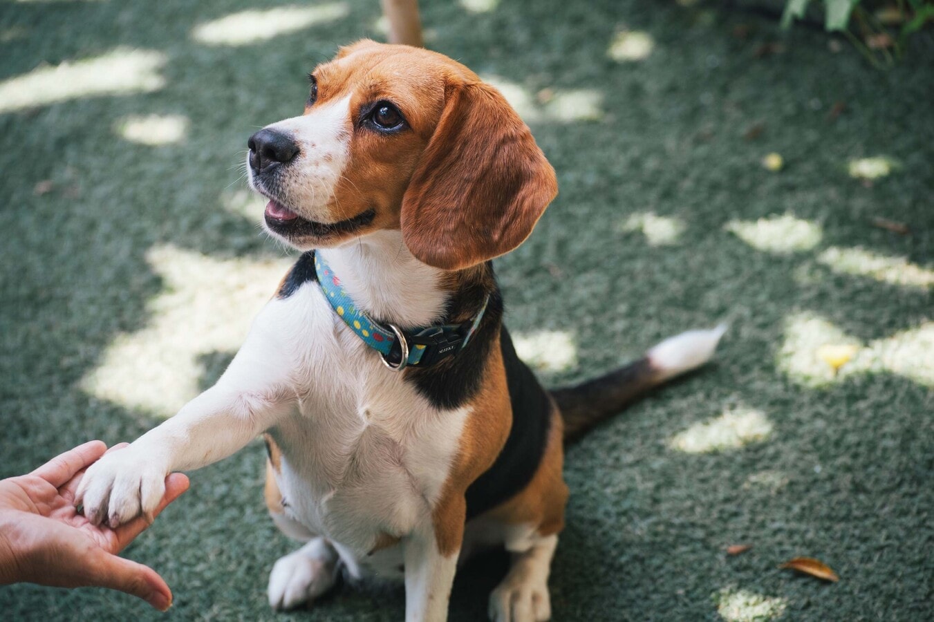 Bolton West Charlotte - Bolton West Charlotte