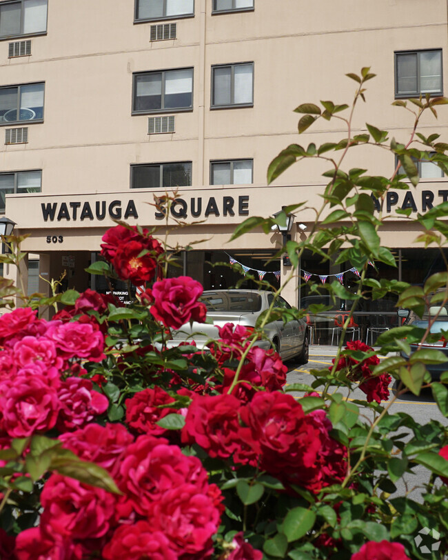 Building Photo - Watauga Square Rental