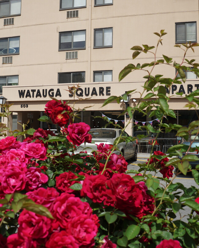 Watauga Square - Watauga Square Apartamentos