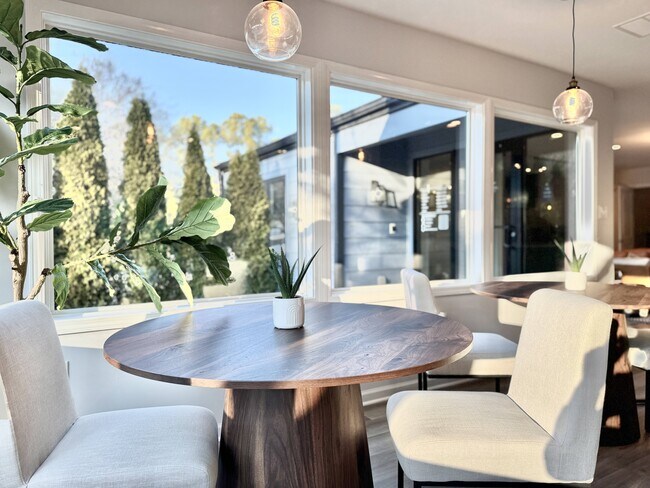 Photo - LYV Chapel Hill