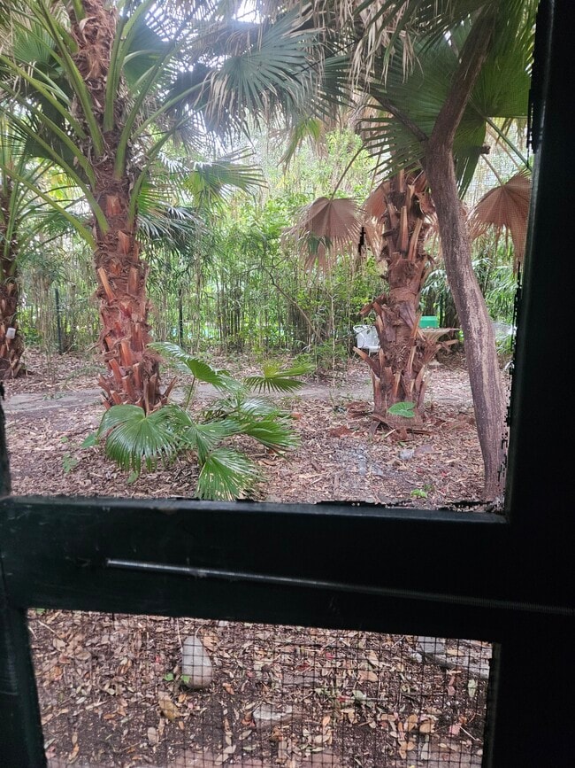 View of yard from the kitchen/living room - 2326 Esplanade Ave Unit 2326 Esplanade-Cottage