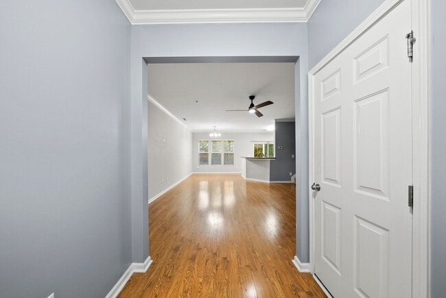 Photo - 8341 Hollister Hills Dr