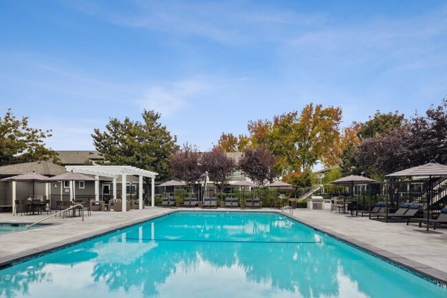 Photo - Sofi Berryessa