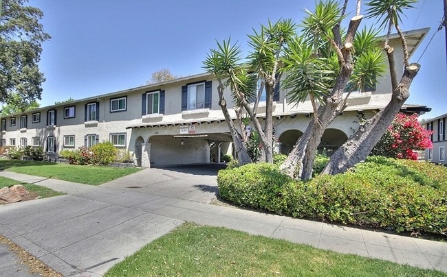 Primary Photo - Viva Apartments