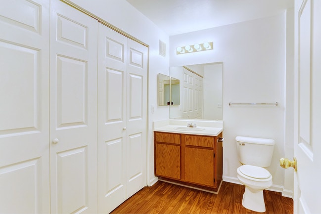 Photo - Meadow Creek