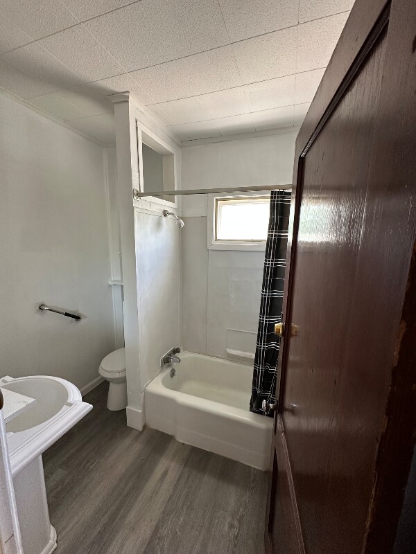 Photo - 48 Cowing St Unidad 2