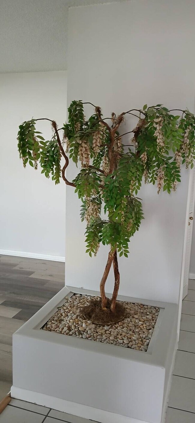 Photo - 738 Flamingo Dr