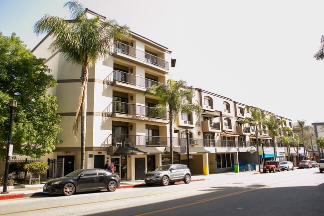Palm Ave.