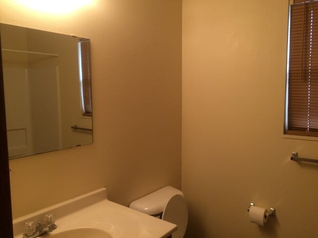 Photo - New University Apartments