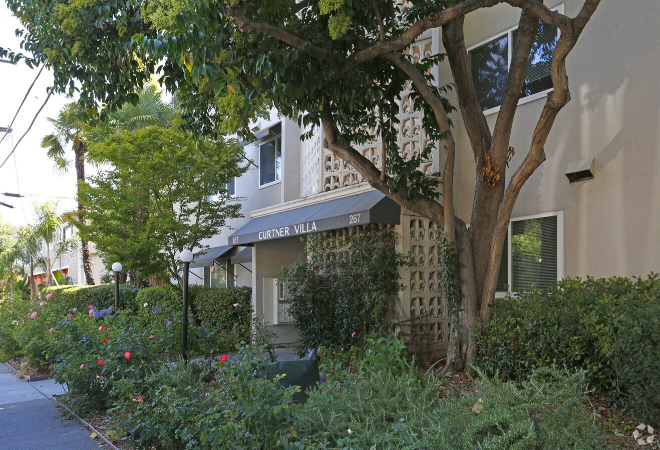 Photo - Curtner Villa Apartments