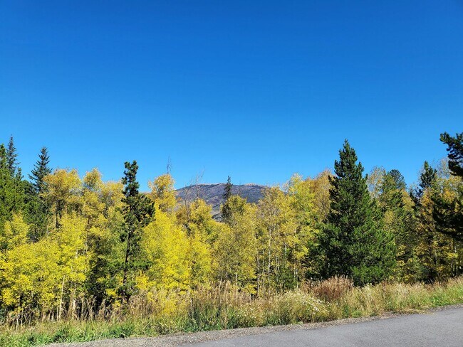 Photo - 3712 Silverheels Dr House