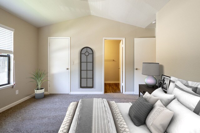 Photo - Walnut Woods