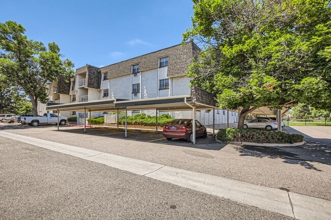 Photo - Spacious 1 Bed 1 Bath in the heart of Holly Hills. LEASING SPECIAL SEE INFO BELOW