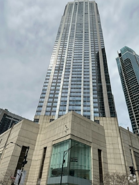 Building Photo - 512 N McClurg Ct Unit 2408 Rental