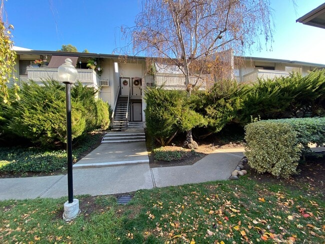1 Bed 1 Bath Condo In Walnut Creek *REMODE... - 1 Bed 1 Bath Condo In Walnut Creek *REMODE...