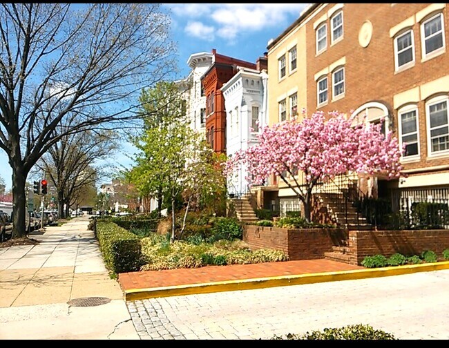 Outside View - 236 Maryland Ave NE Unit Luxurious Cap Hill 1 BDRM