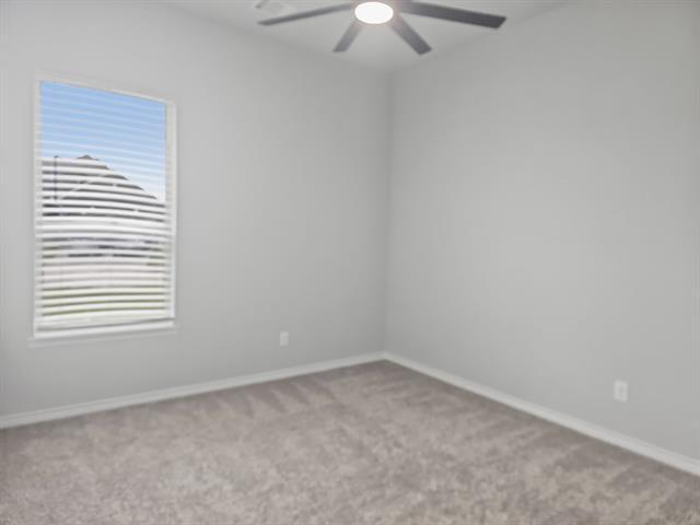 Photo - 3401 Rosewood Ln