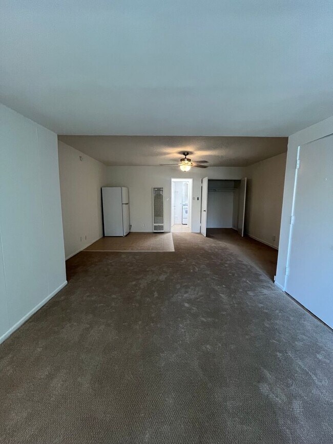 225 S. Occidental Blvd (UDA13)