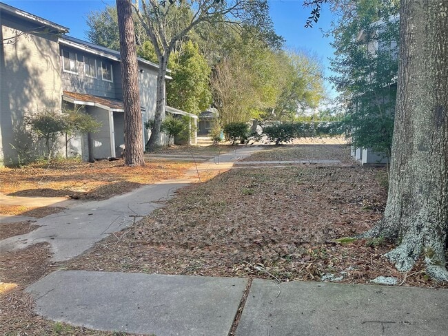 Photo - 702 Hargest St Unit 4