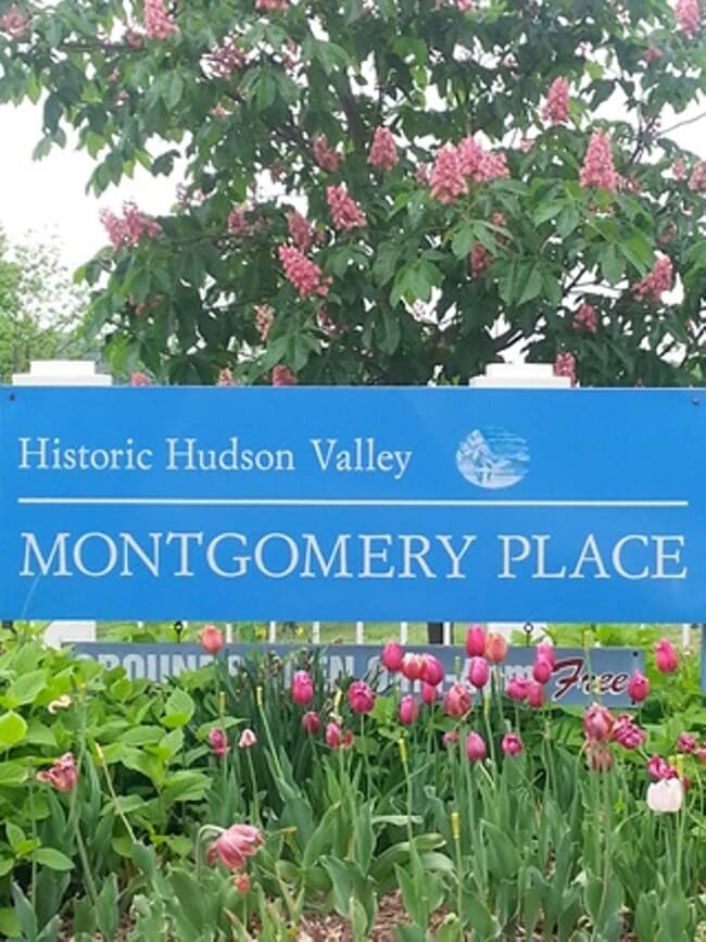 Photo - 13 Memorial Dr