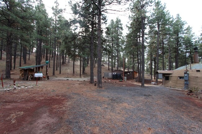 Photo - Unique Dome-Shaped Studio Surrounded by Ponderosa Pines With MOVE-IN Special! $300 off 1st month