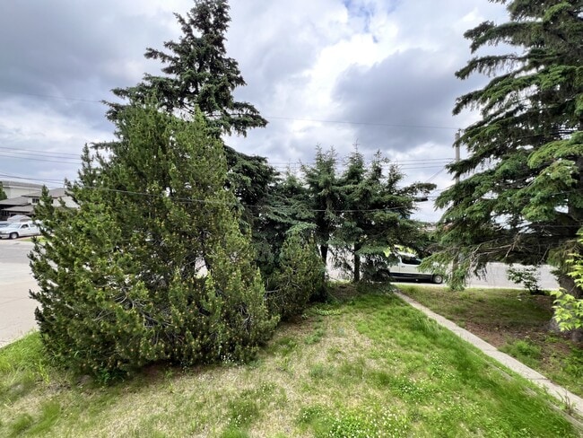 Photo - 221 Birch Ave