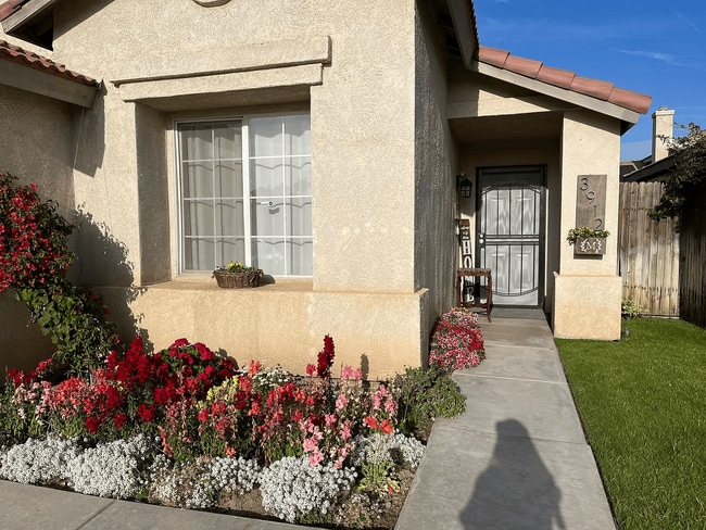 Photo - 3912 Boswellia Dr