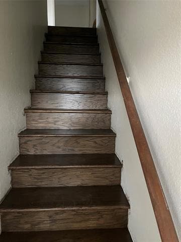 Photo - 803 Bluebonnet Dr