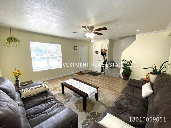 Photo - 403 Braidhill Dr