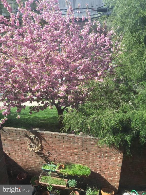 Photo - 5139 Westbard Ave